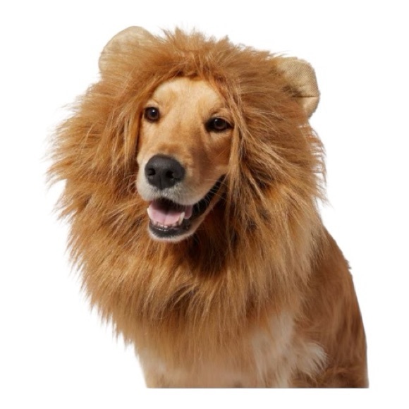 Other - Lion costume dog xl